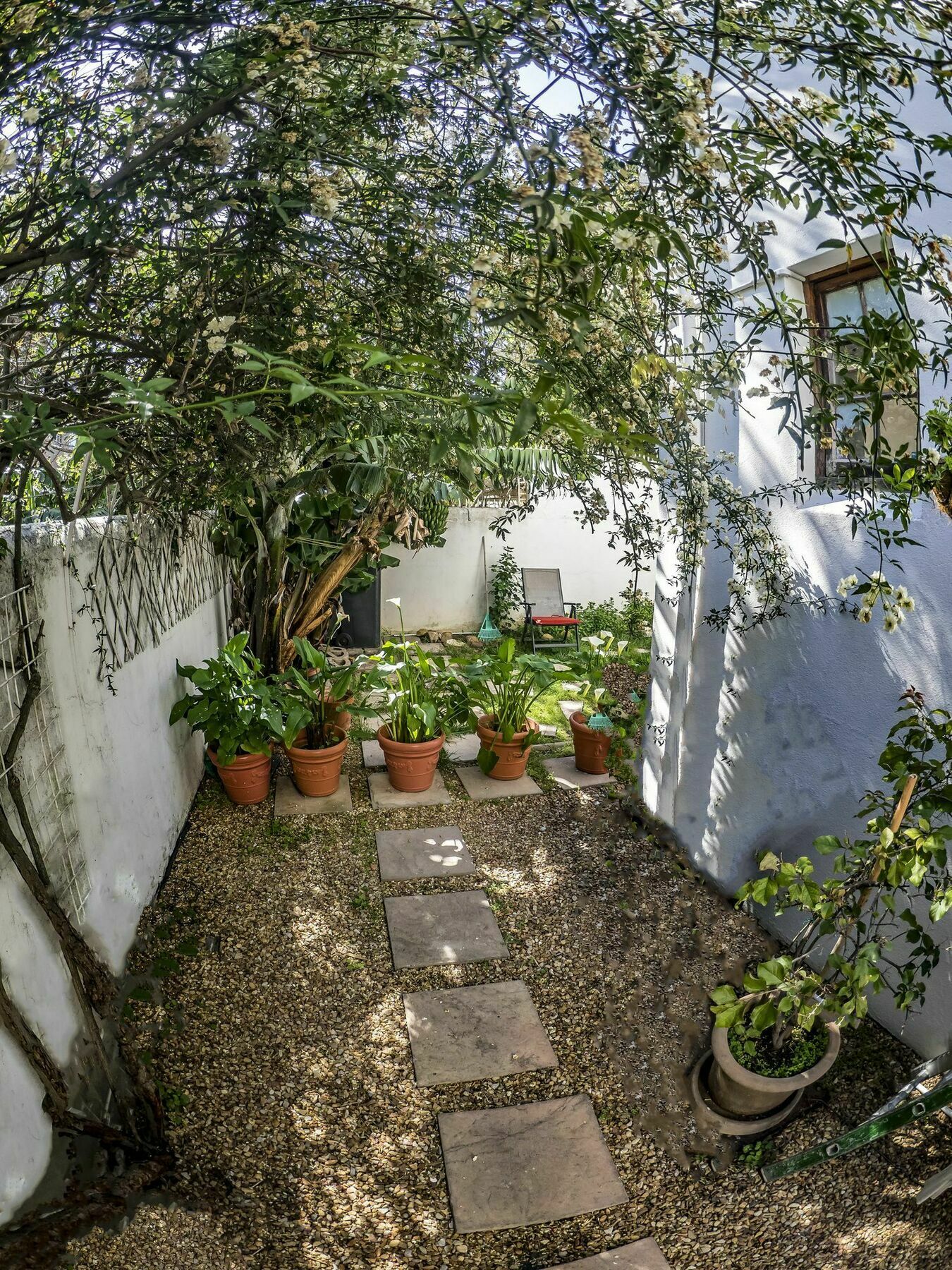 Bed and Breakfast The Vagabond Kapské Město Exteriér fotografie
